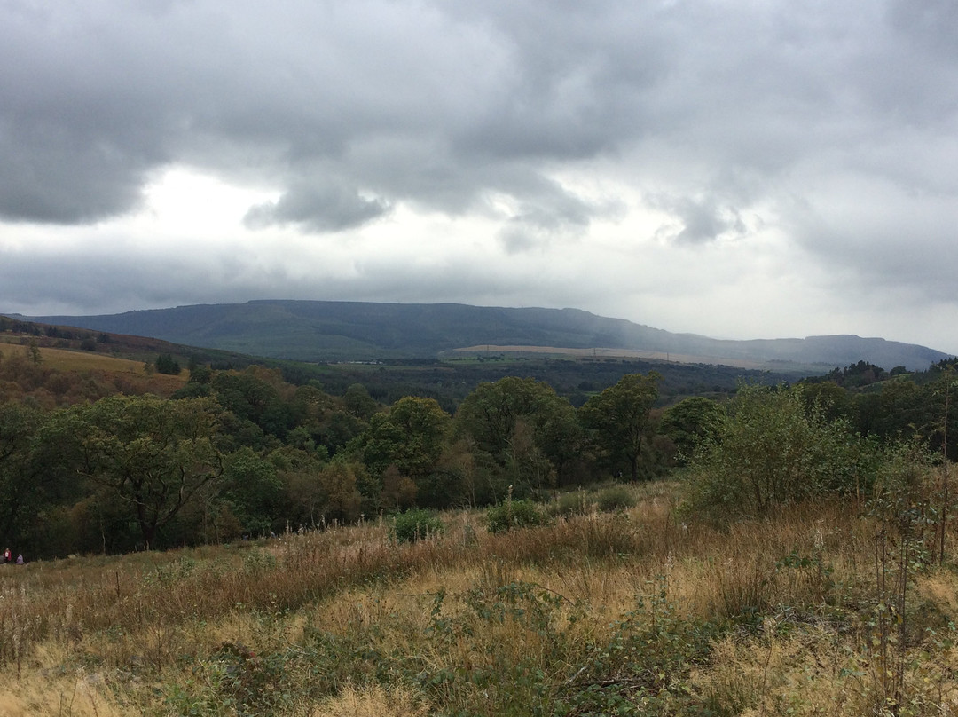 The Tanners Arms主图