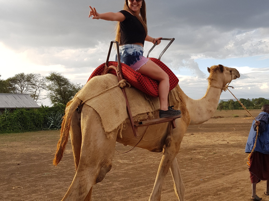 Meserani Snake Park-阿鲁沙必去景点