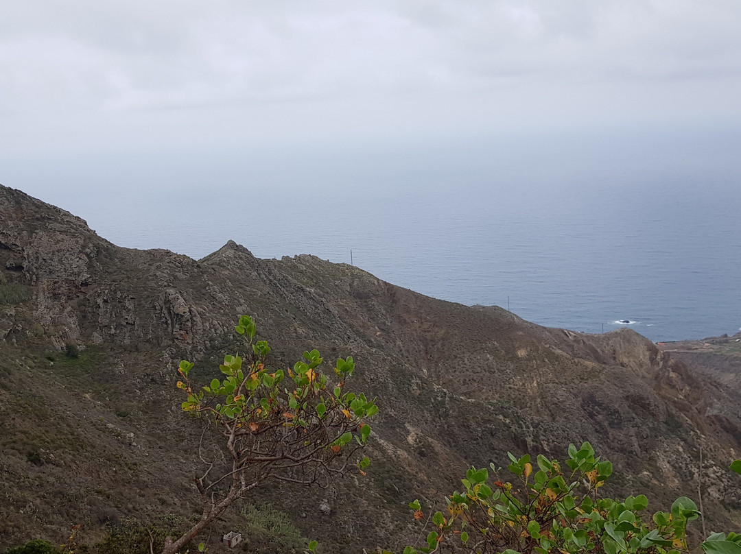 Mirador de Amogoje-特纳里夫必去景点