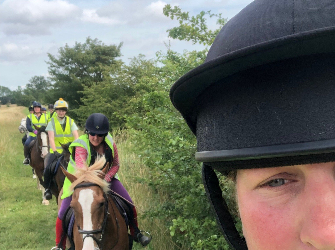 Hill Farm Stables Riding School景点图片
