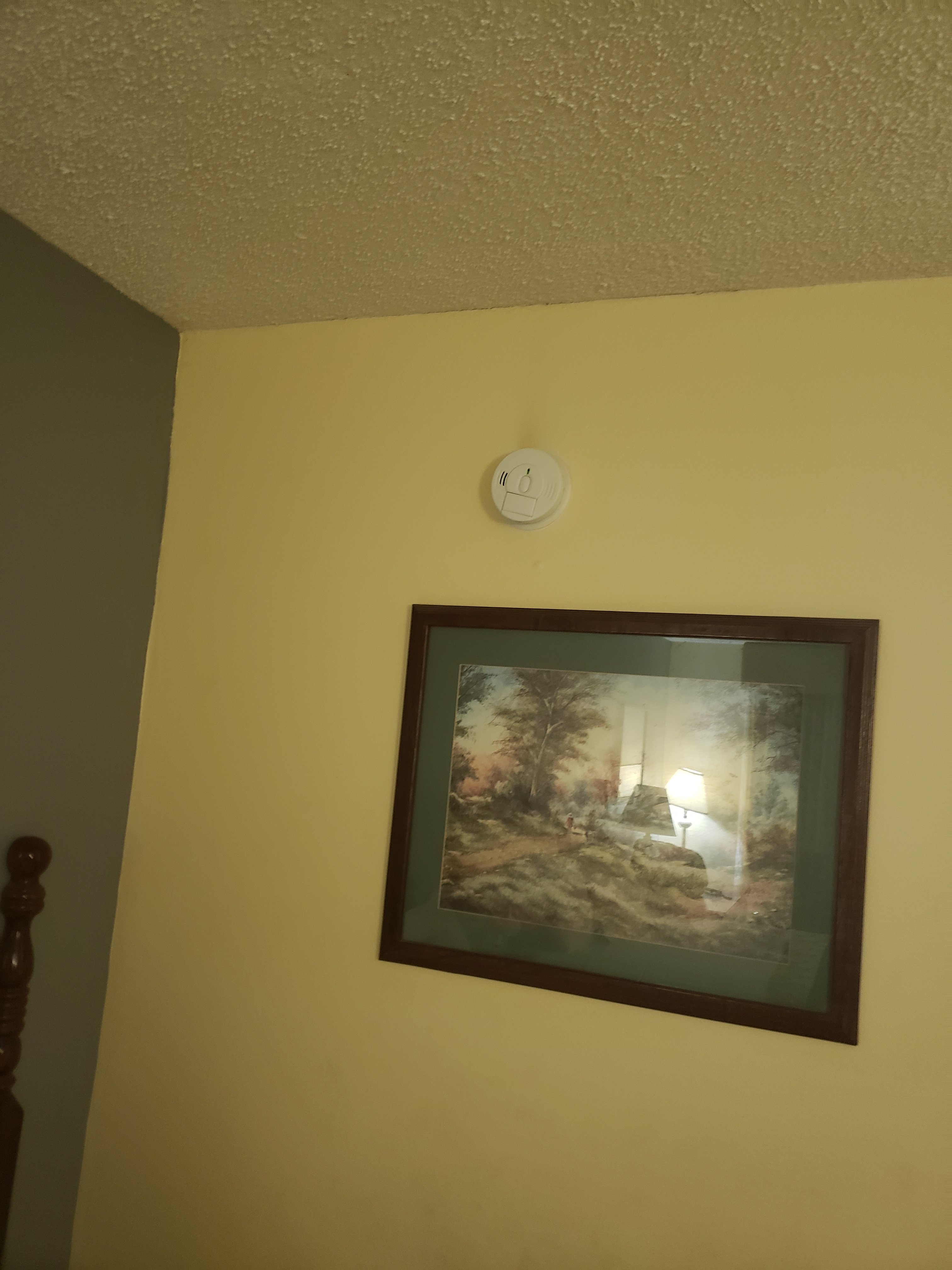 Baymont by Wyndham Griffin-portrait