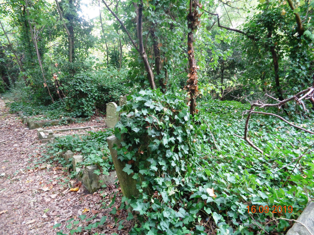 St Pancras and Islington Cemetery景点图片