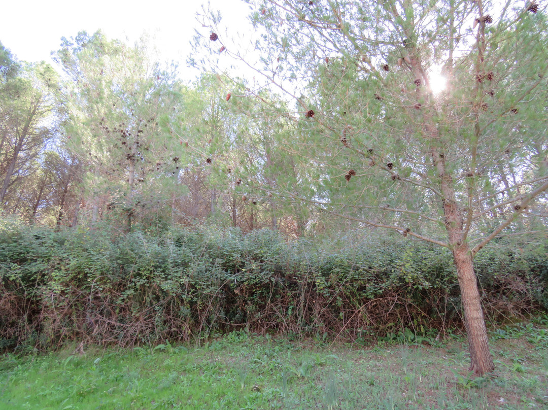 Parco Minerario Floristella-Grottacalda-Valguarnera Caropepe必去景点