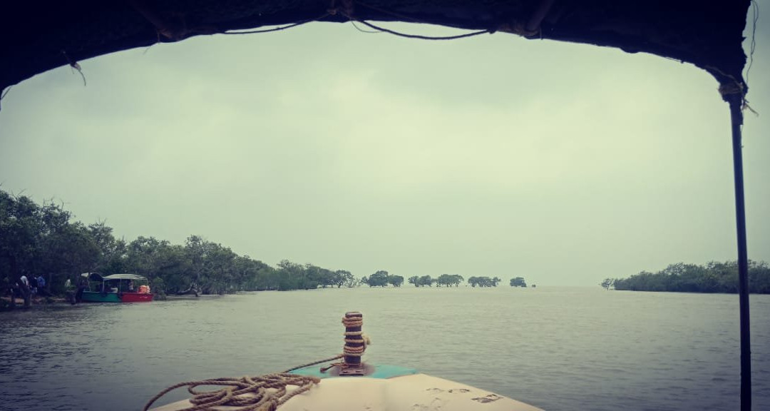 Bichitrapur Mangrove Reserve景点图片