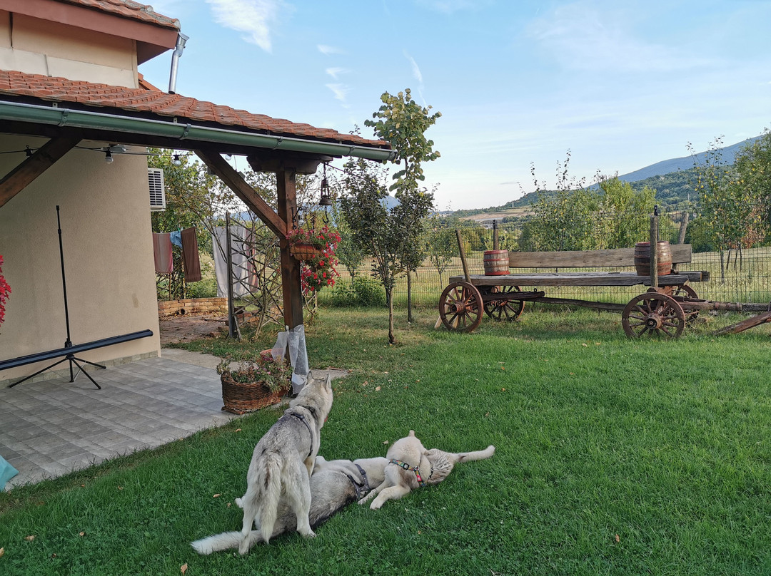 Country House Vuksanovic主图