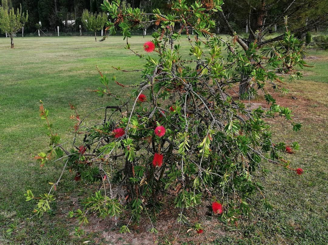 Le Mas des Chutes主图