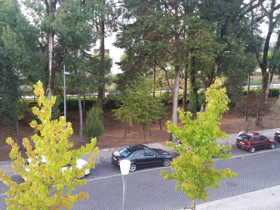 克鲁兹阿尔塔酒店主图