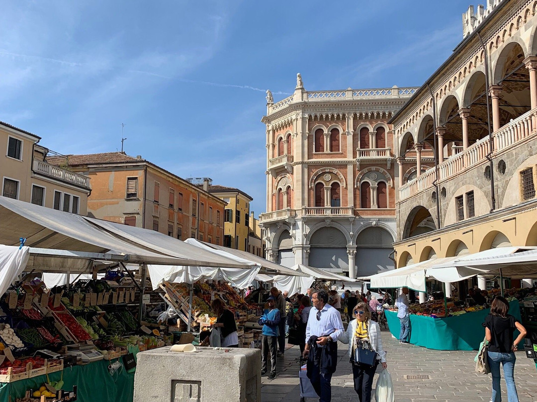 My Venice Travel Guide-帕多瓦必去景点
