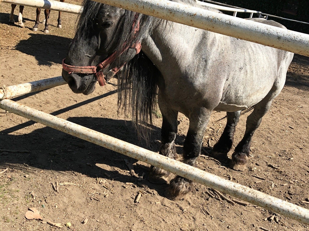 Tanyamuseum-久洛必去景点