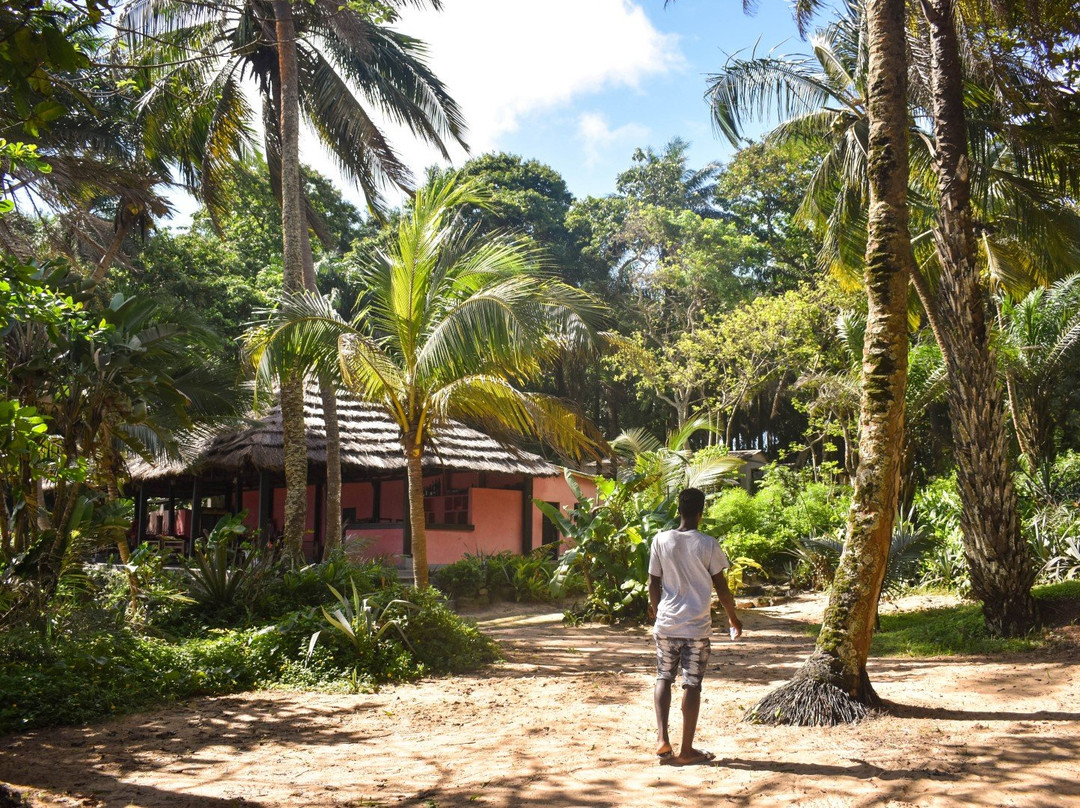 Iles de Los-柯那克里必去景点