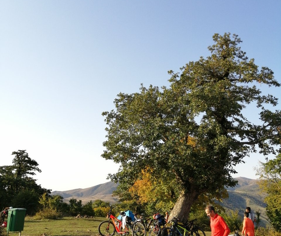 Abr Forest景点图片