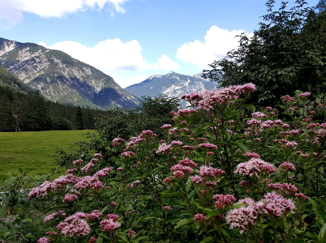 Hotel Wagnerhof主图