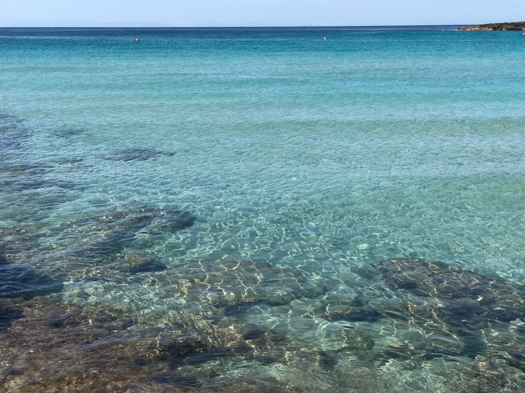 Spiaggia di Montedarena景点图片