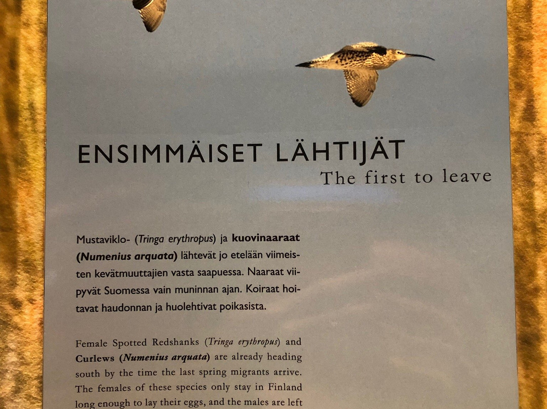 Liminganlahti Visitor Centre主图