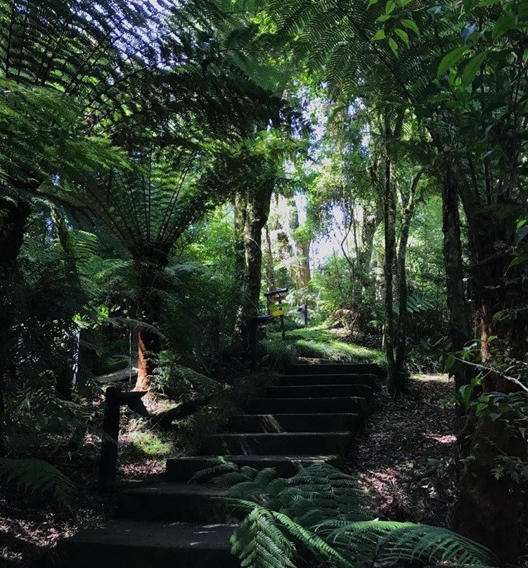 Pousada do Engenho主图