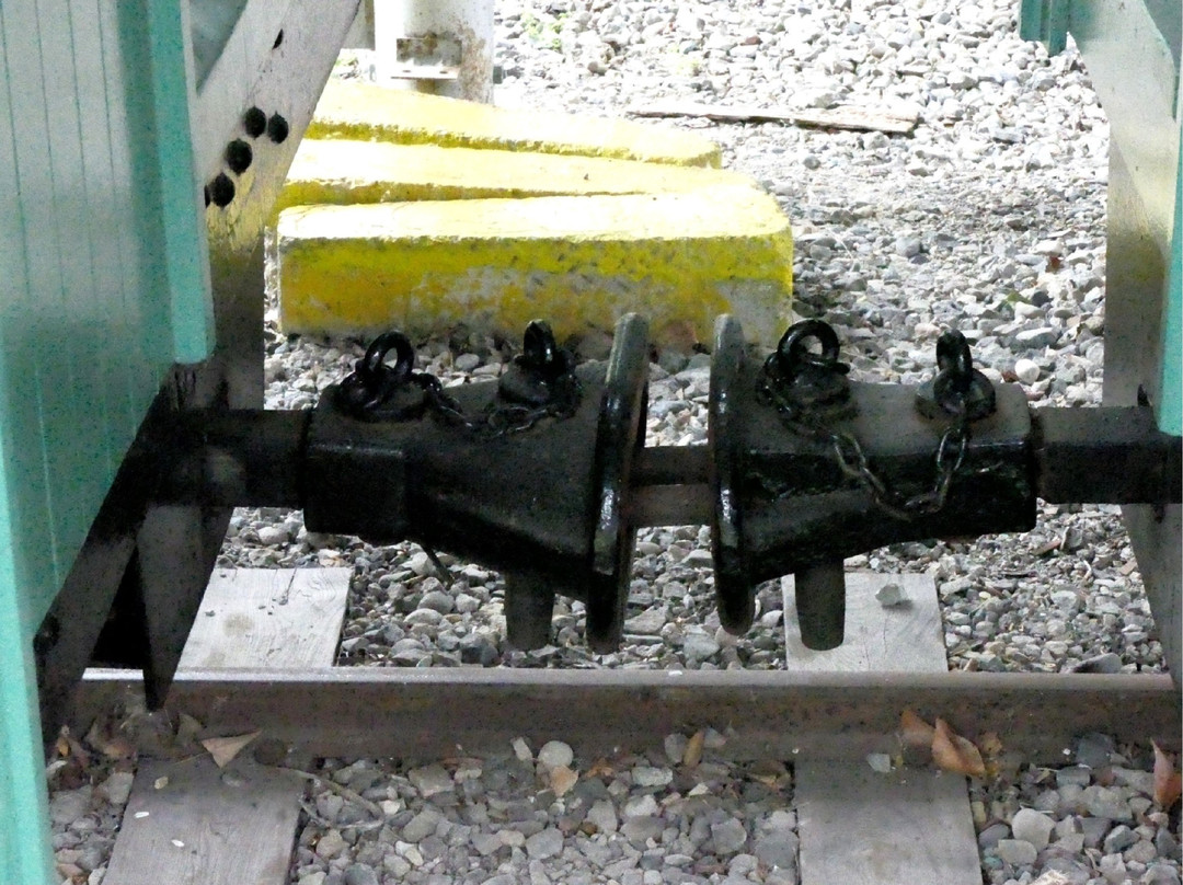 Shinrin Park Ikoi no Mori-远轻町必去景点