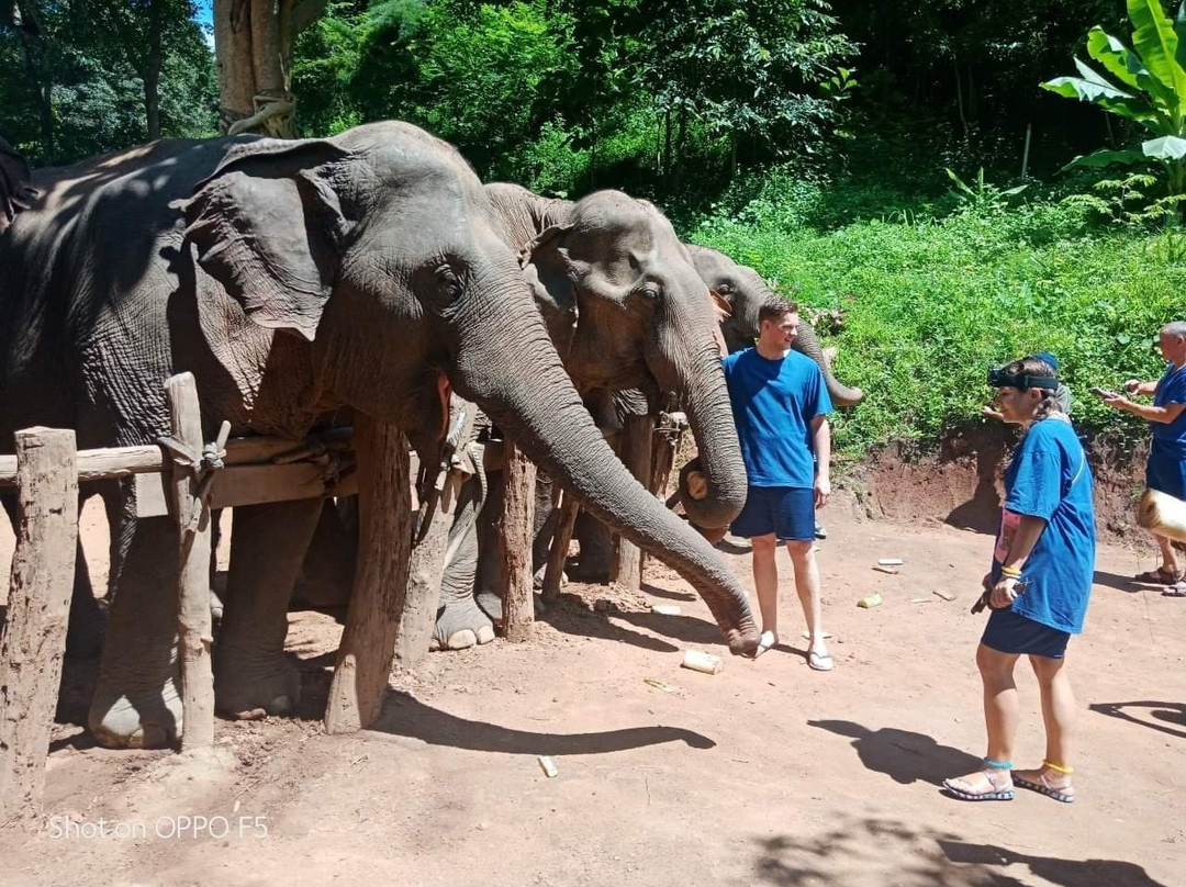 Elephant Sanctuary Adventure By Chiangmai Best Travel-Si Phum必去景点