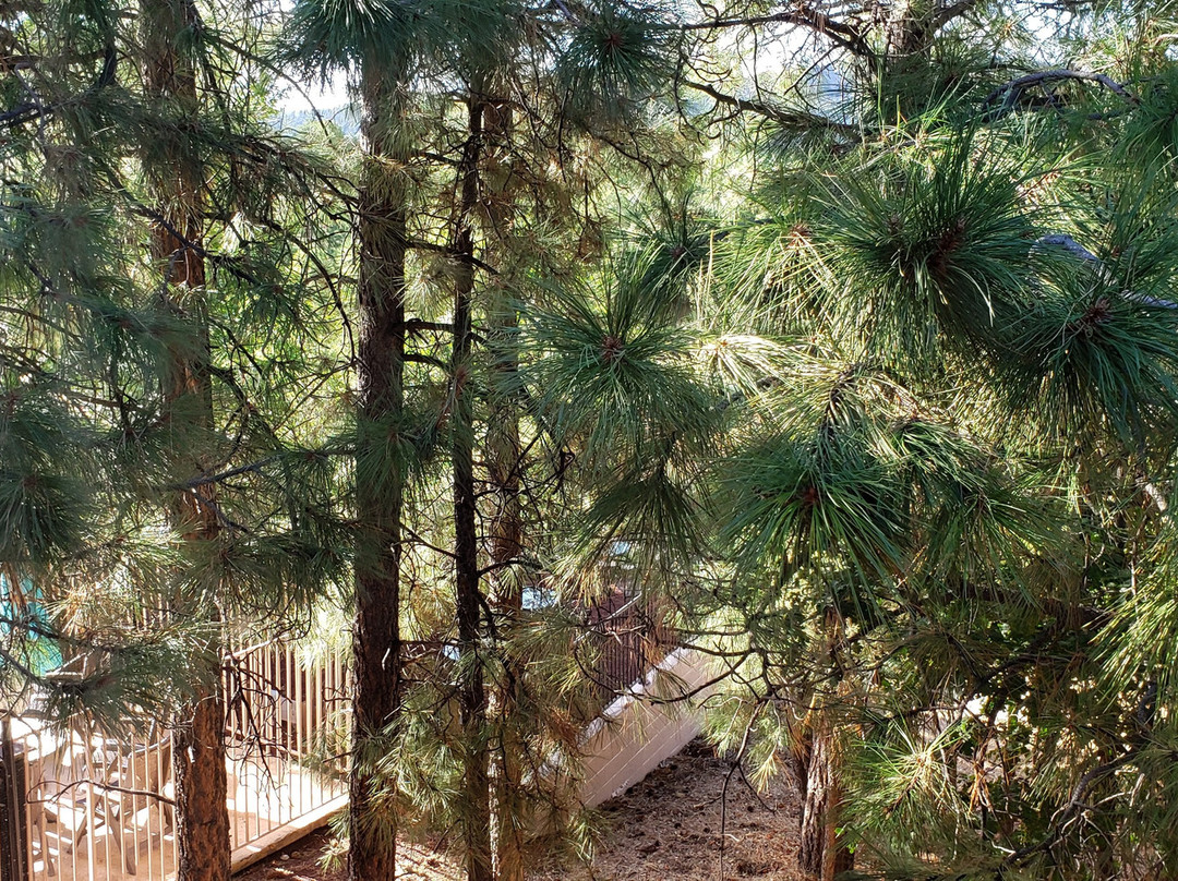 威廉姆斯贝斯特韦斯特优质酒店主图