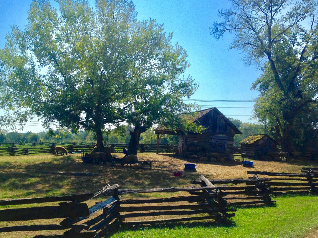 The Museum Restaurant