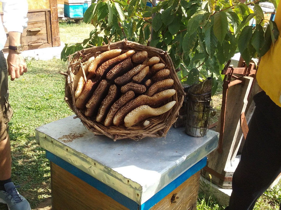 Beekeeping BN景点图片