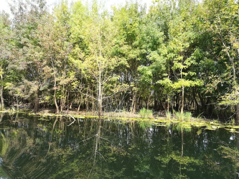 Nature Park Hutovo Blato景点图片