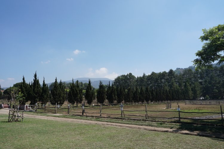 De'Ranch景点图片