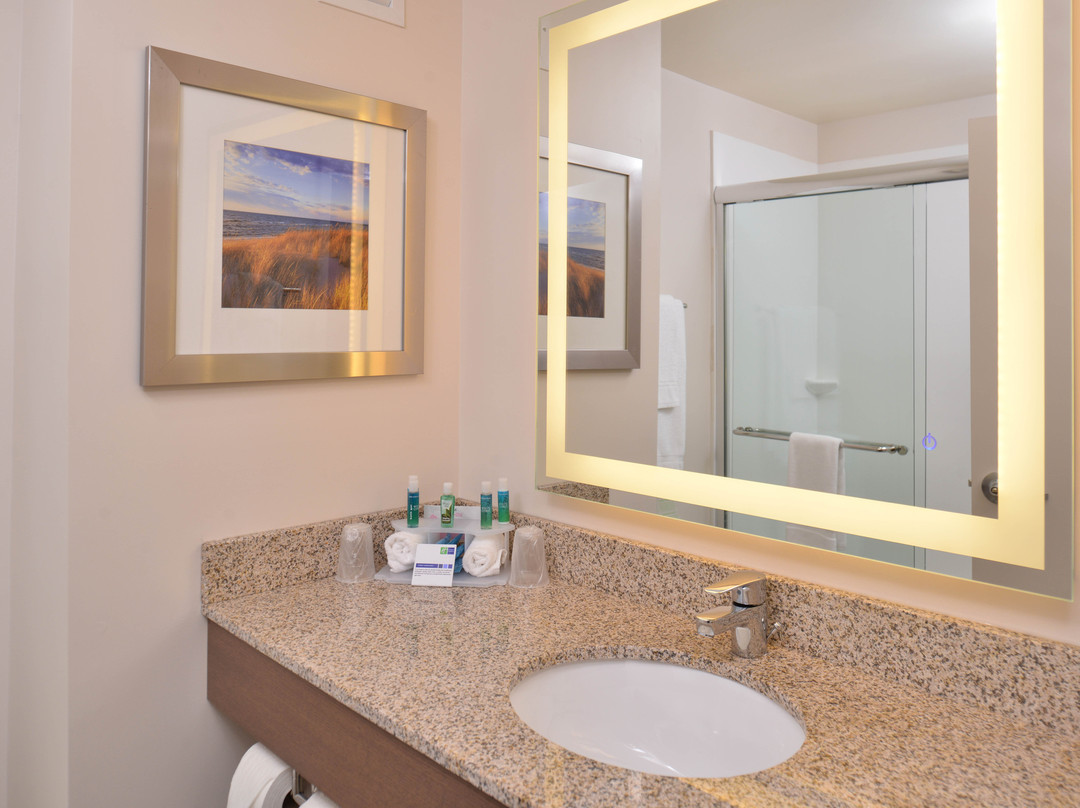 Holiday Inn Express & Suites Dearborn SW - Detroit Area by IHG主图