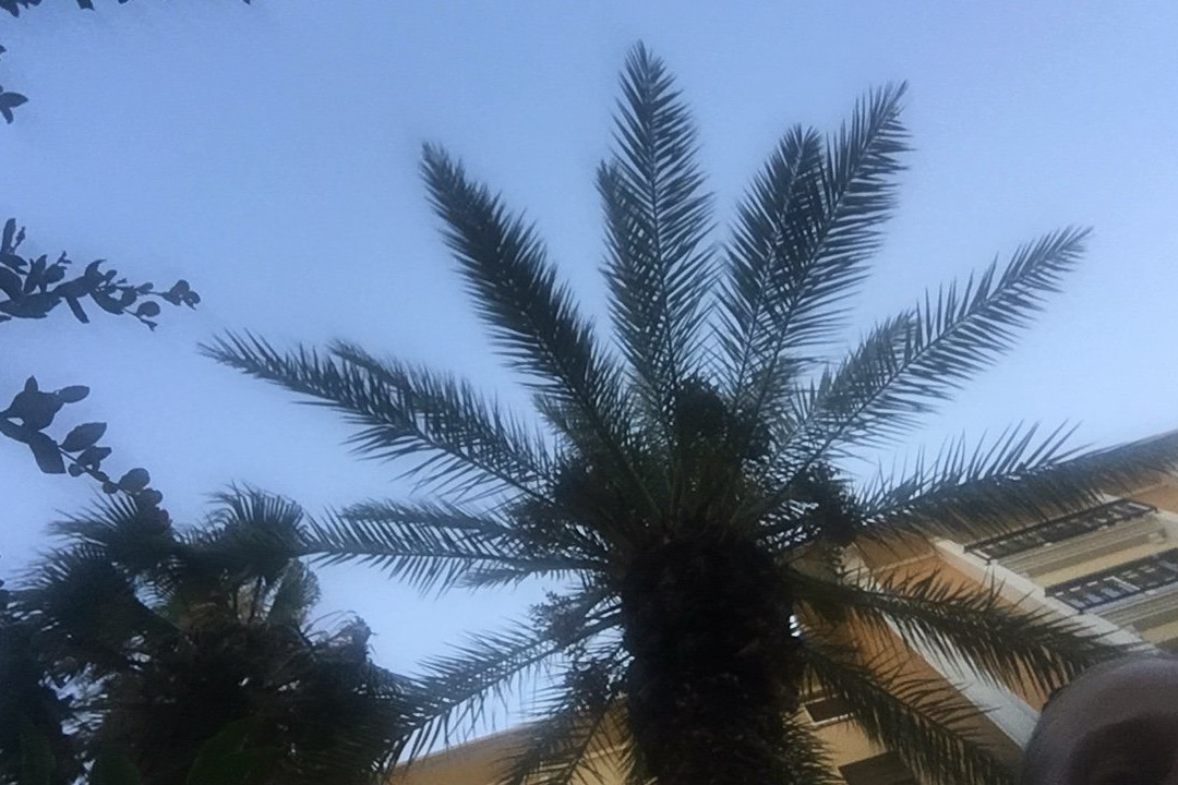 Alanya Tours & Excursions景点图片