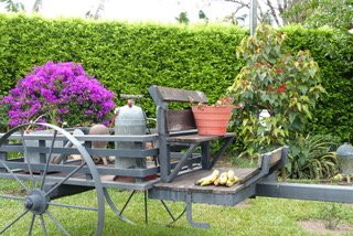 Hotel Finca Los Mangos主图