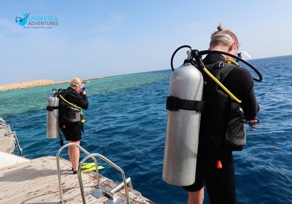 Red Sea Life Diving Center景点图片