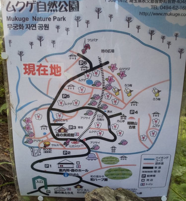Mukuge Nature Park-皆野町必去景点