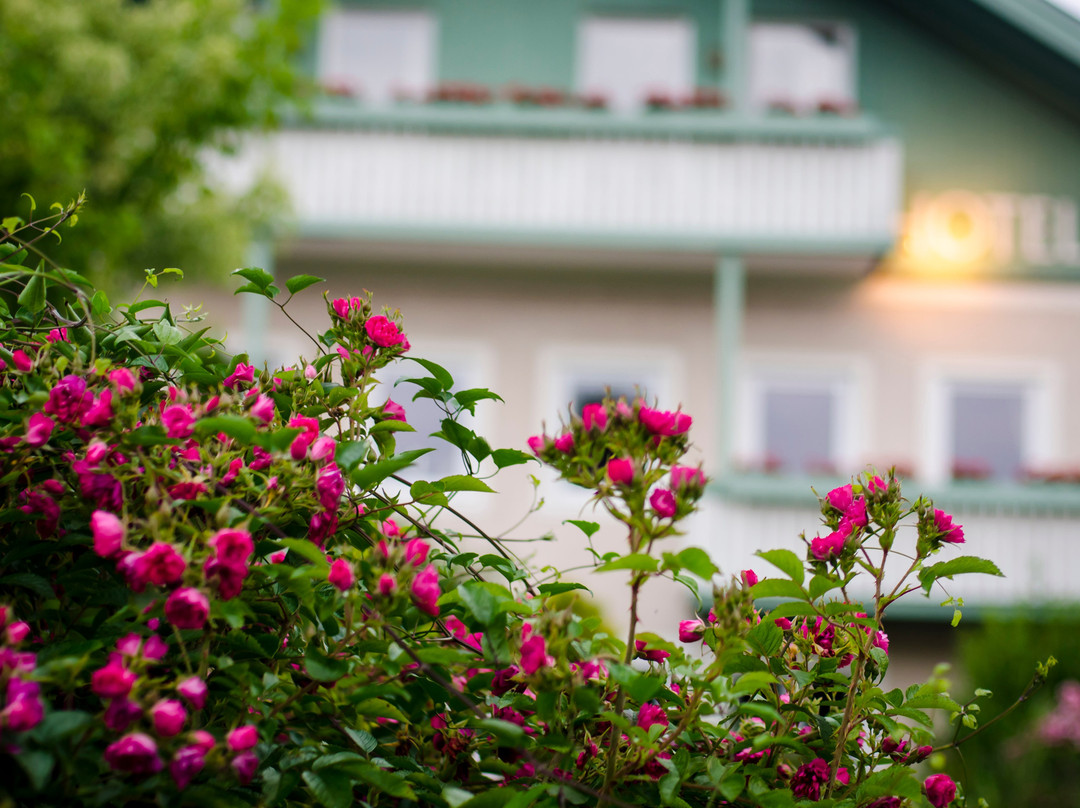 Gartenhotel Salzach主图