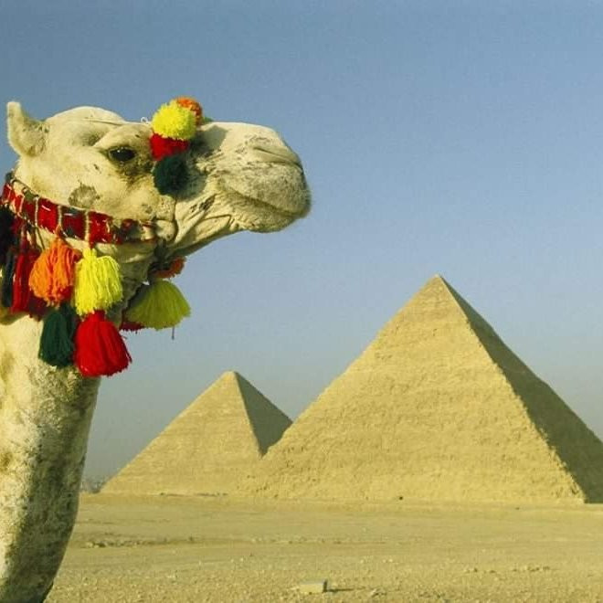 Egypt guide tours-开罗必去景点
