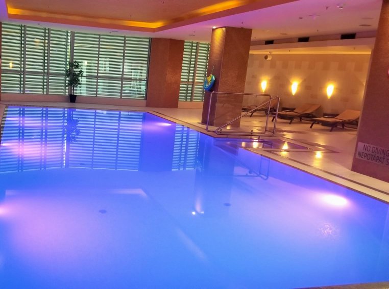 希尔顿逸林布拉迪斯拉发酒店-泳池