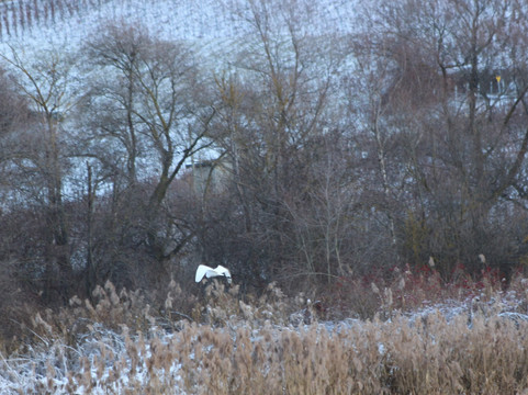 Réserve naturelle de Pouta-Fontana-Grone必去景点