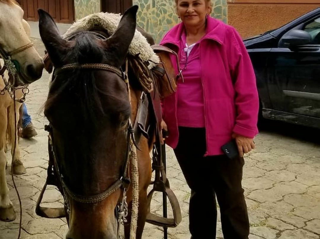 El Despertar Hotel主图