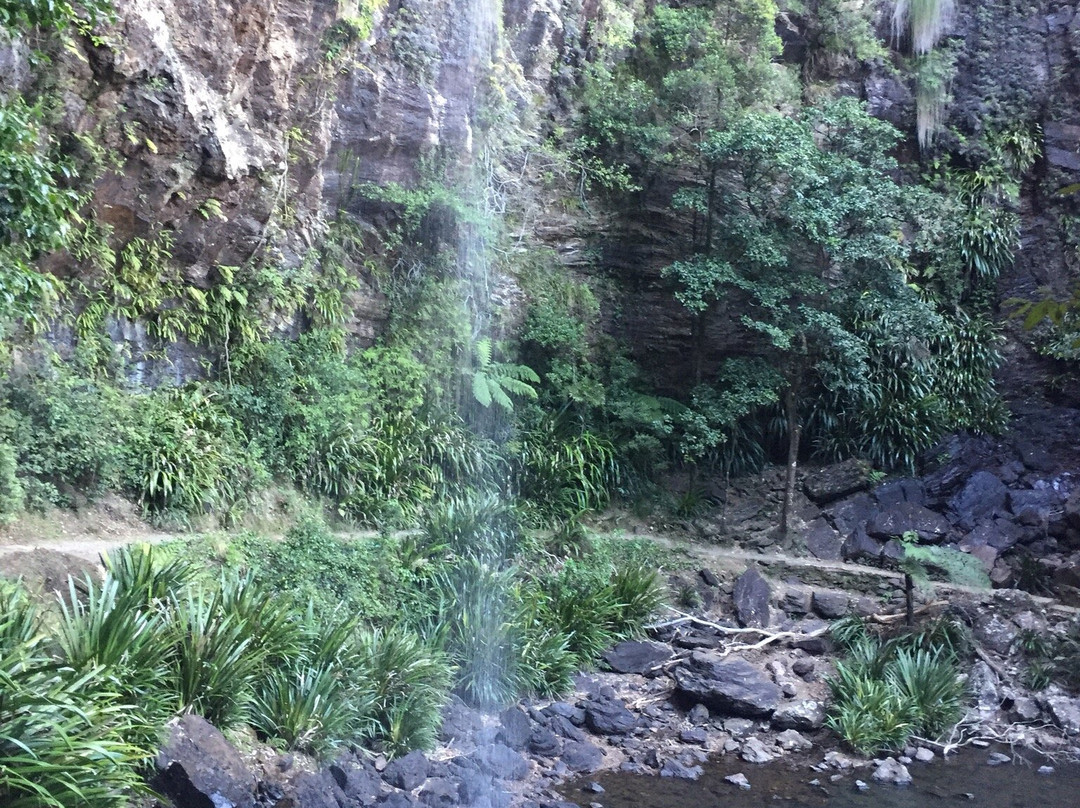 Rosellas On Springbrook主图