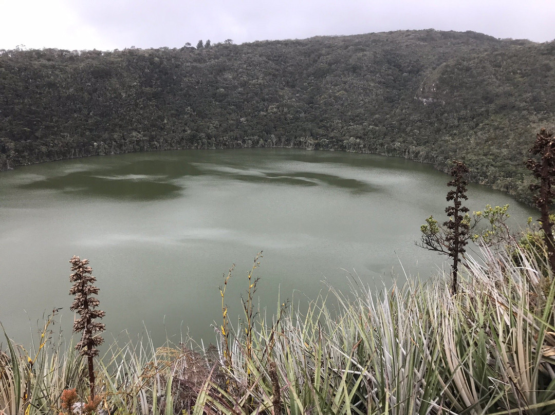 Laguna de Guatavita景点图片