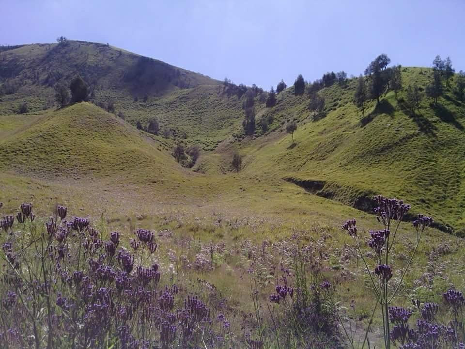 Goong2000-Yogyakarta必去景点