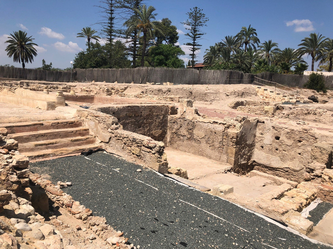 Parque Arqueologico la Alcudia景点图片