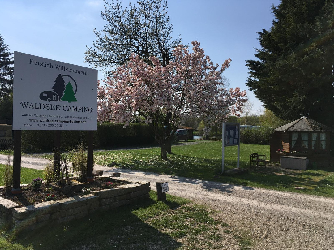 Waldsee Camping Bettmar
