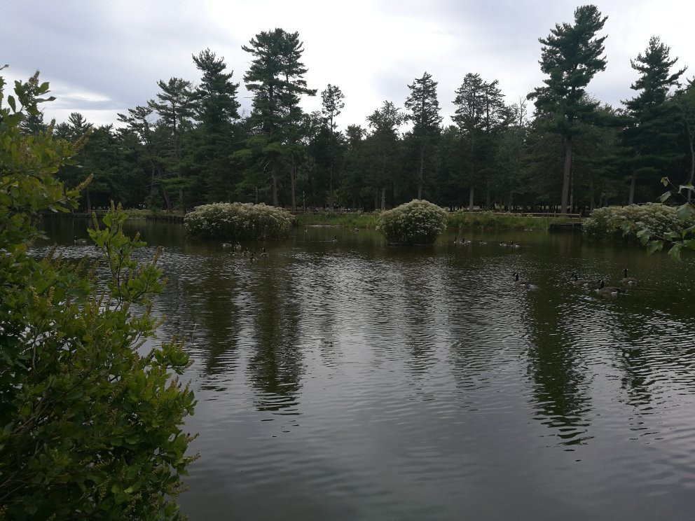 Ocean County Park景点图片