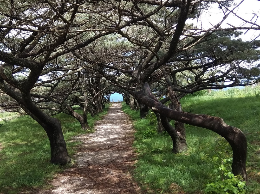Filerimos Monastery-Filerimos必去景点