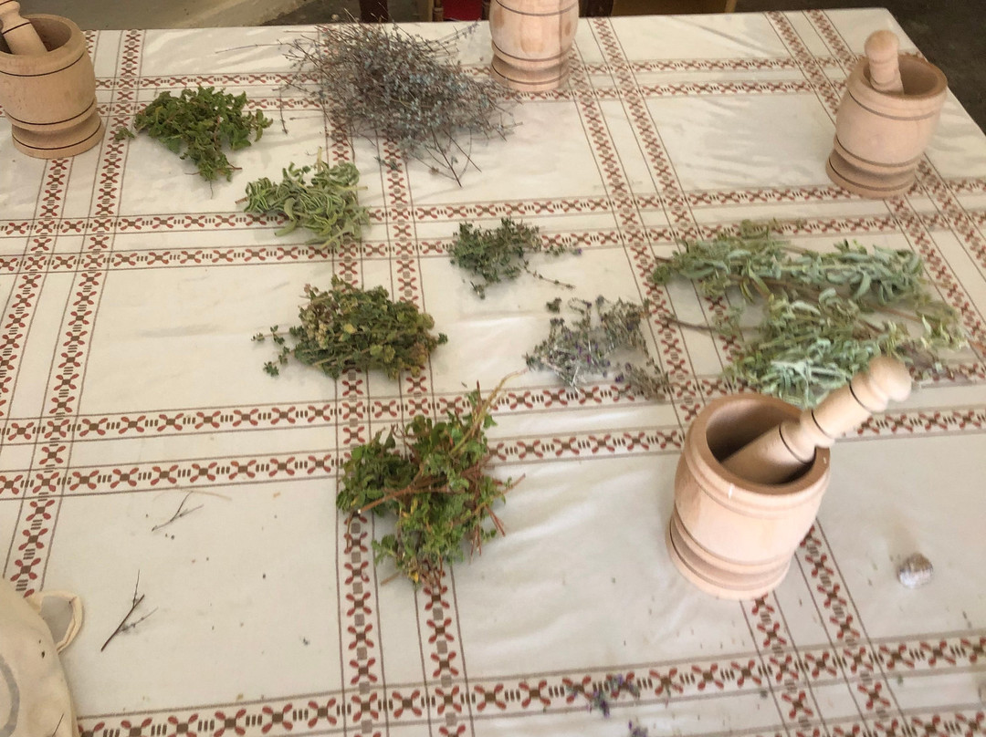 Forage Crete-伊拉克利翁必去景点