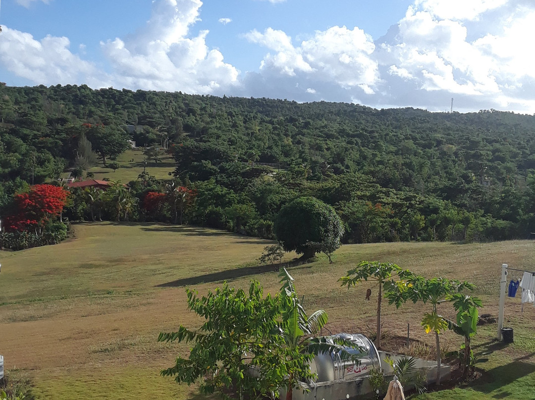 Great Escape Bed & Breakfast Inn主图