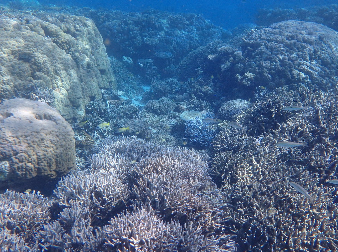 Poe Beach-Bourail必去景点