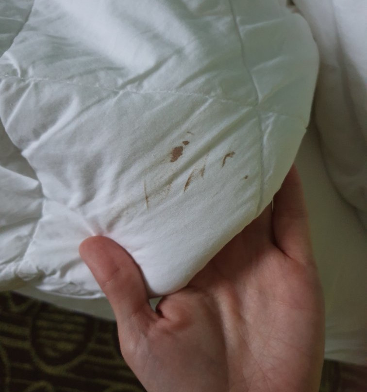 Best Western Plus Glen Allen Inn主图