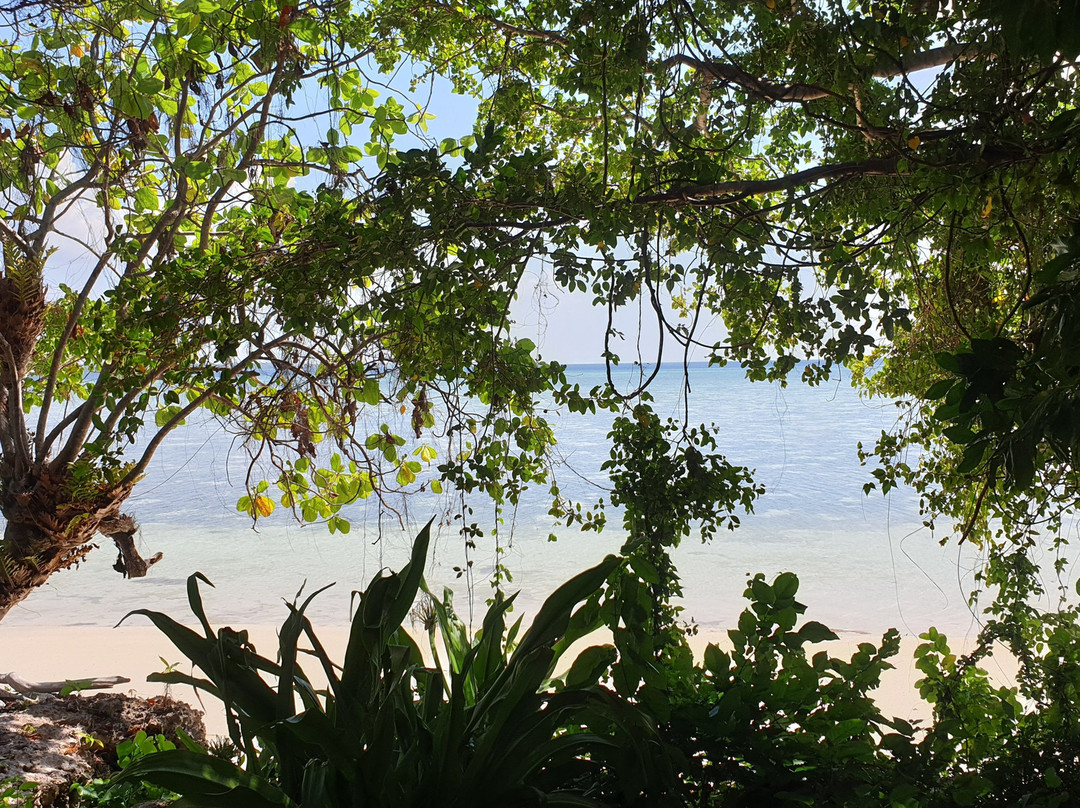 Hoga Island Dive Resort主图