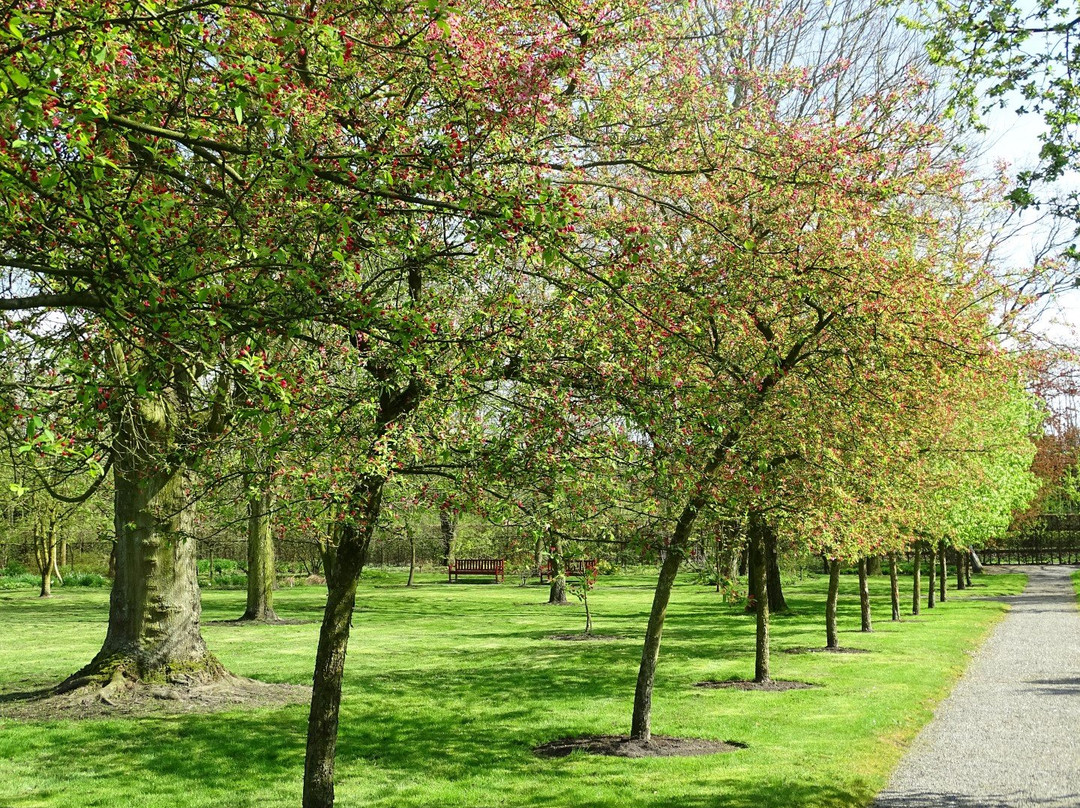 Stichting Arboretum Oudenbosch景点图片