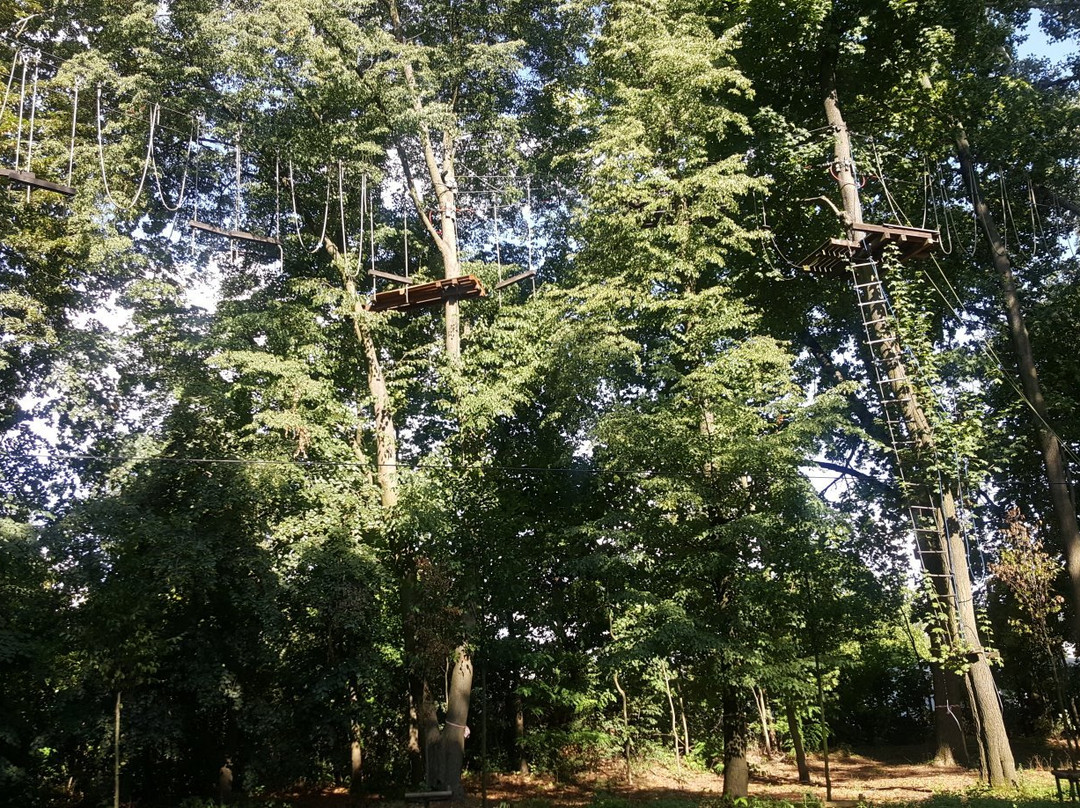Cascader Rope Course Park景点图片
